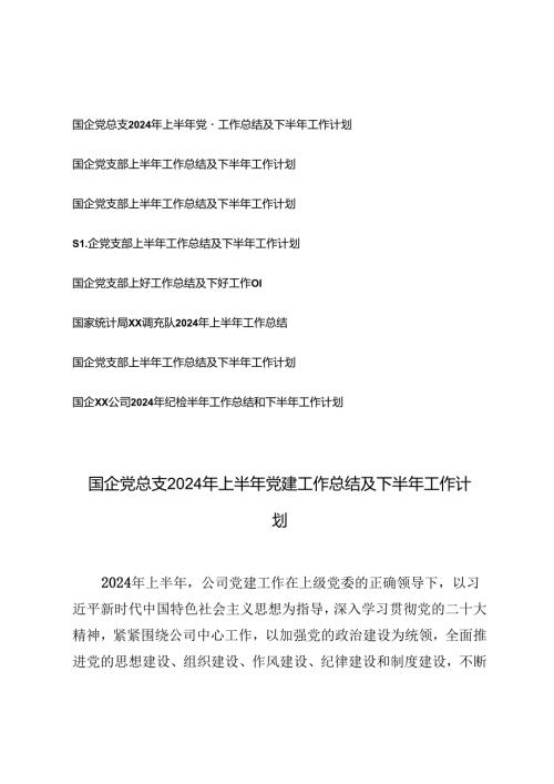 8篇 范文国企党总支2024年上半年党建工作总结及下半年工作计划.docx