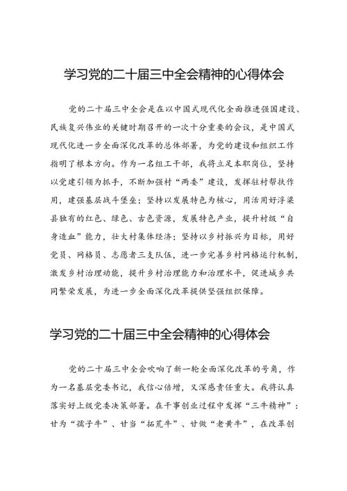 2024年党的二十三中全会精神学习体会样本28篇.docx