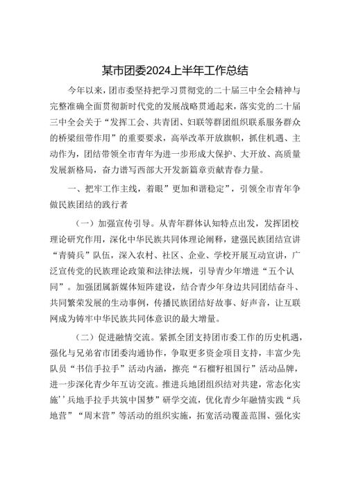某市团委2024上半年工作总结.docx