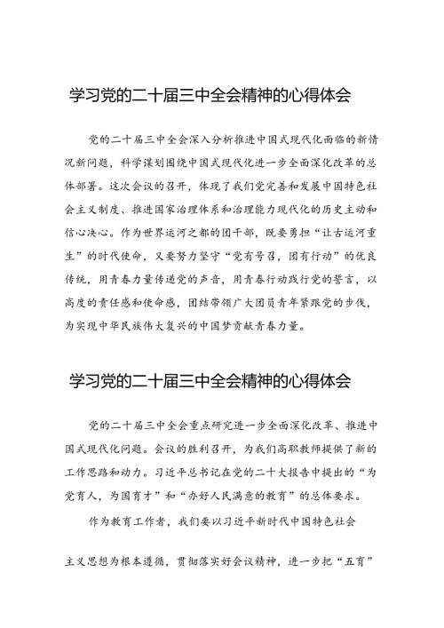 党员干部关于二十三中全会精神心得体会精选发言稿33篇.docx