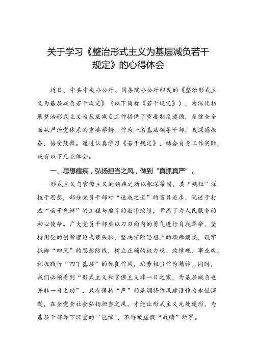 关于学习《整治形式主义为基层减负若干规定》专题培训的心得体会七篇.docx