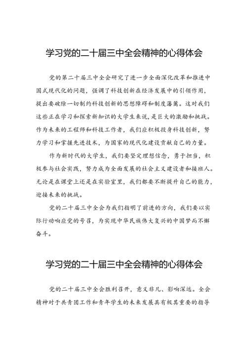 2024年学习二十三中全会的心得感悟最新39篇.docx