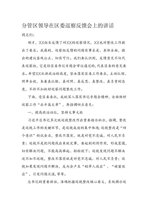 分管区领导在区委巡察反馈会上的讲话(1).docx