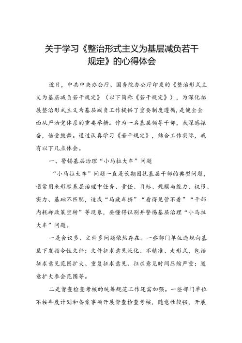整治形式主义为基层减负若干规定学习体会研讨发言材料.docx