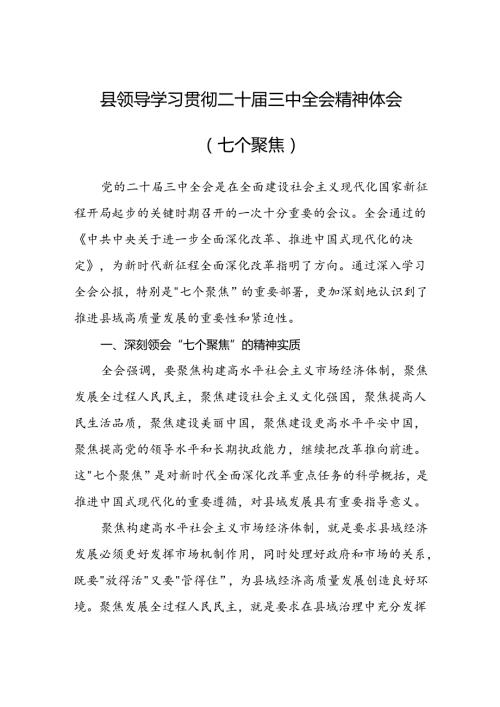 县领导学习贯彻二十三中全会精神体会（七个聚焦）.docx