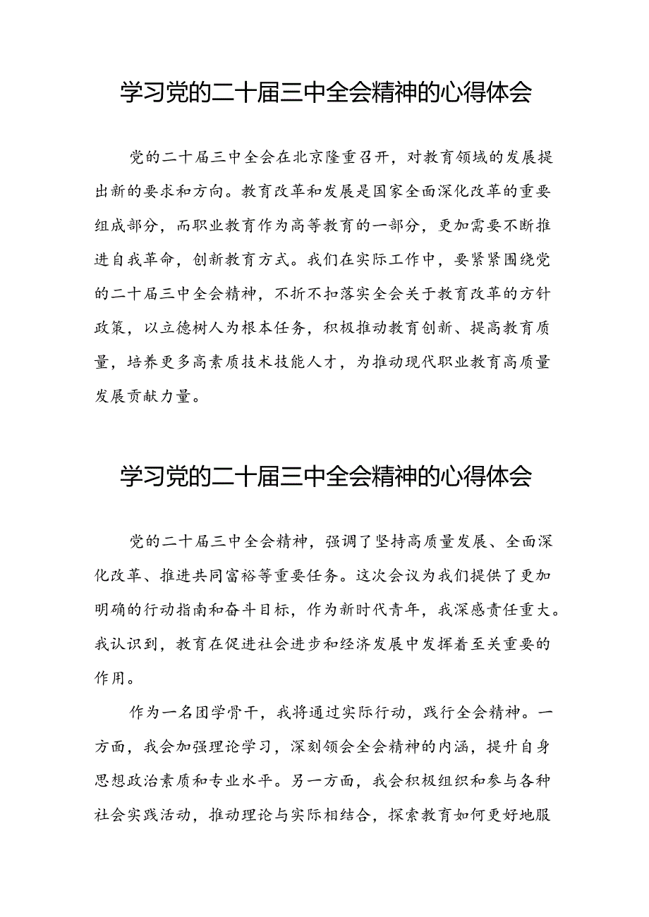 2024年党的二十三中全会精神学习体会交流发言稿最新范文三十篇.docx_第3页