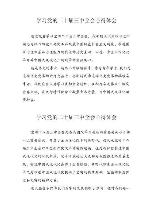 学习2024年党的二十三中全会心得体会 （13份）59.docx