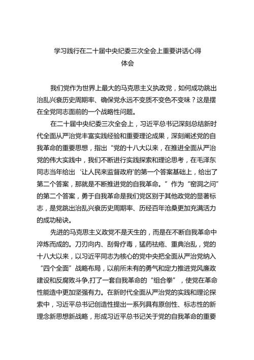 学习践行在二十中央纪委三次全会上重要讲话心得体会10篇（详细版）.docx