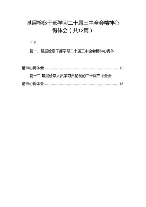 基层检察干部学习二十三中全会精神心得体会12篇（详细版）.docx