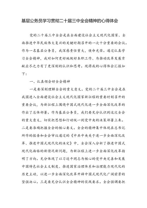 基层公务员学习贯彻二十三中全会精神的心得体会研讨发言.docx