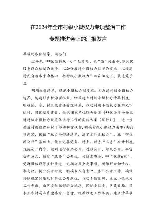 在2024年全市村级小微权力专项整治工作专题推进会上的汇报发言(1).docx