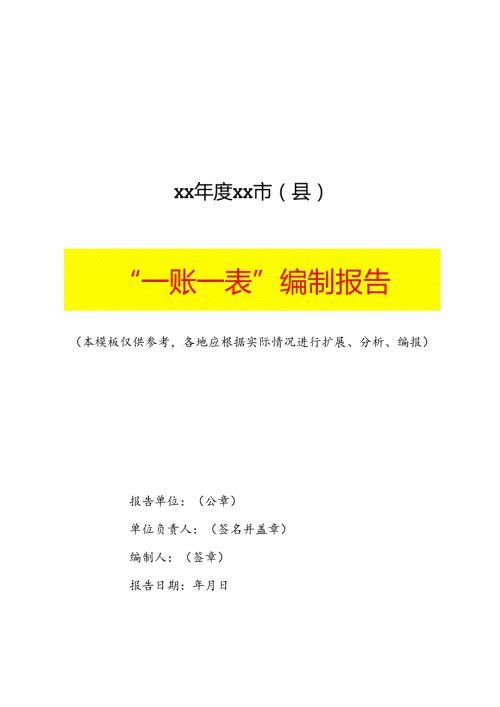 “一账一表“编制报告模板.docx