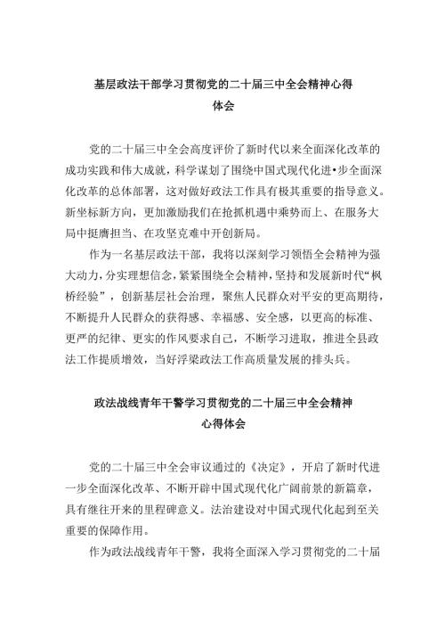 基层政法干部学习贯彻党的二十三中全会精神心得体会8篇（最新版）.docx