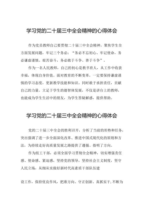 2024年二十三中全会精神学习体会最新模板三十篇.docx