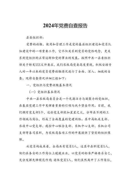 2024年党费自查报告.docx