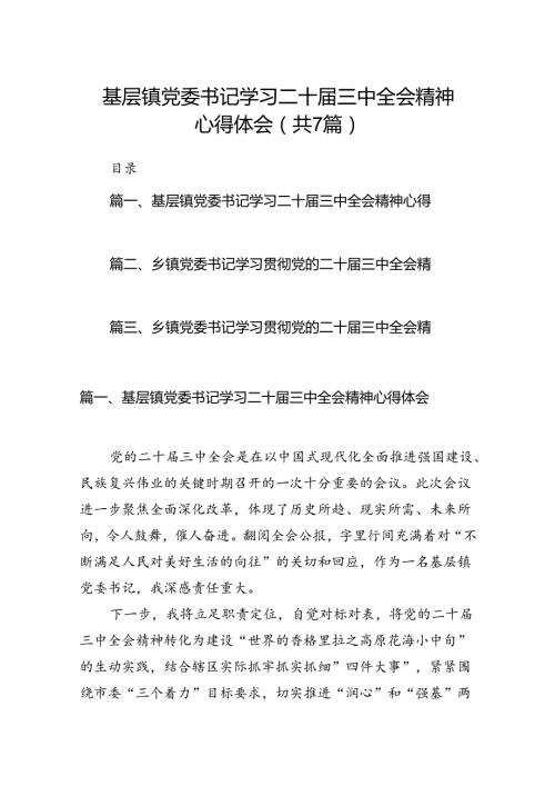基层镇党委书记学习二十三中全会精神心得体会7篇（精选版）.docx