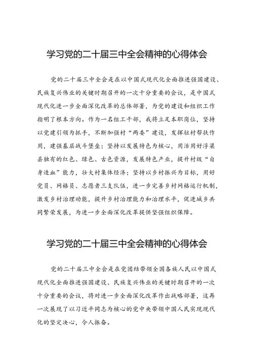 2024年党的二十三中全会精神学习体会样本三十篇.docx