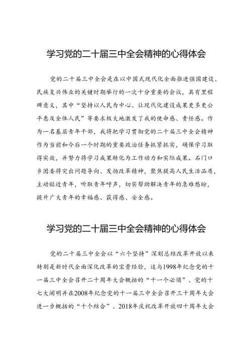 2024年党的二十三中全会精神学习体会范例39篇.docx
