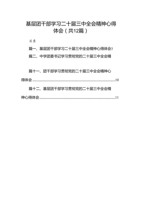 基层团干部学习二十三中全会精神心得体会12篇（精选）.docx