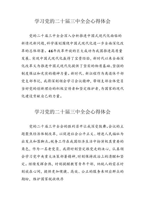 学习2024年党的二十三中全会心得体会 （16份）49.docx