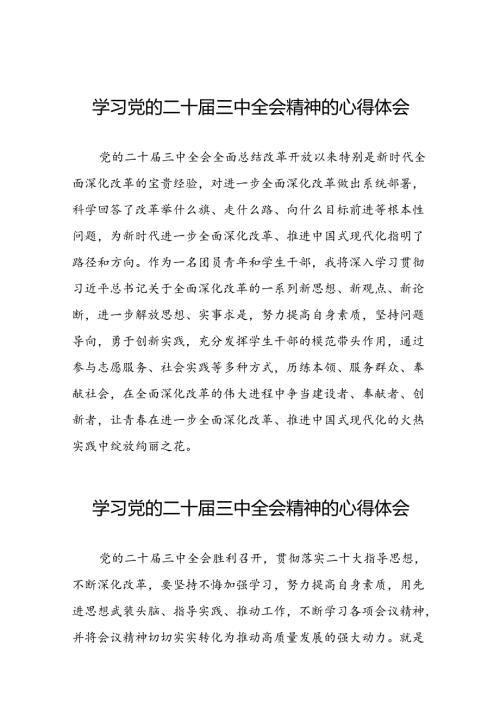 党的二十三中全会精神学习心得发言稿39篇.docx