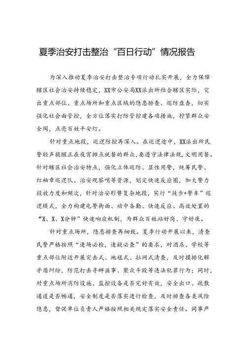 十八篇公安2024年夏季治安打击整治行动情况报告.docx