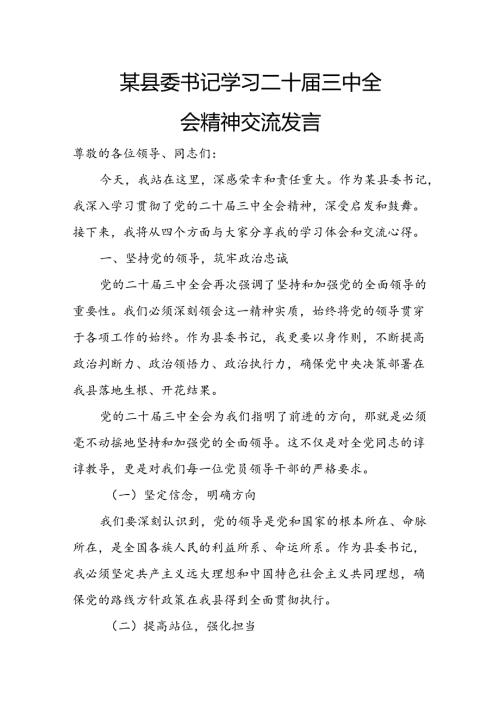 某县委书记学习二十三中全会精神交流发言.docx