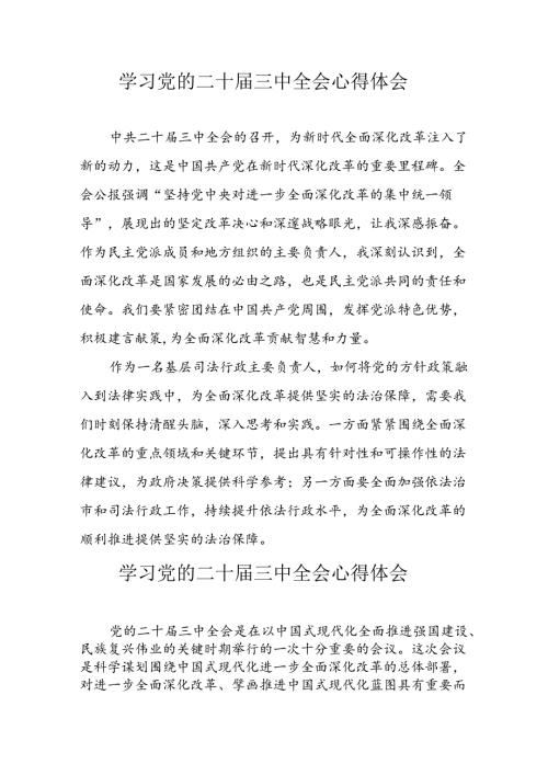 学习2024年党的二十三中全会心得体会 （13份）64.docx