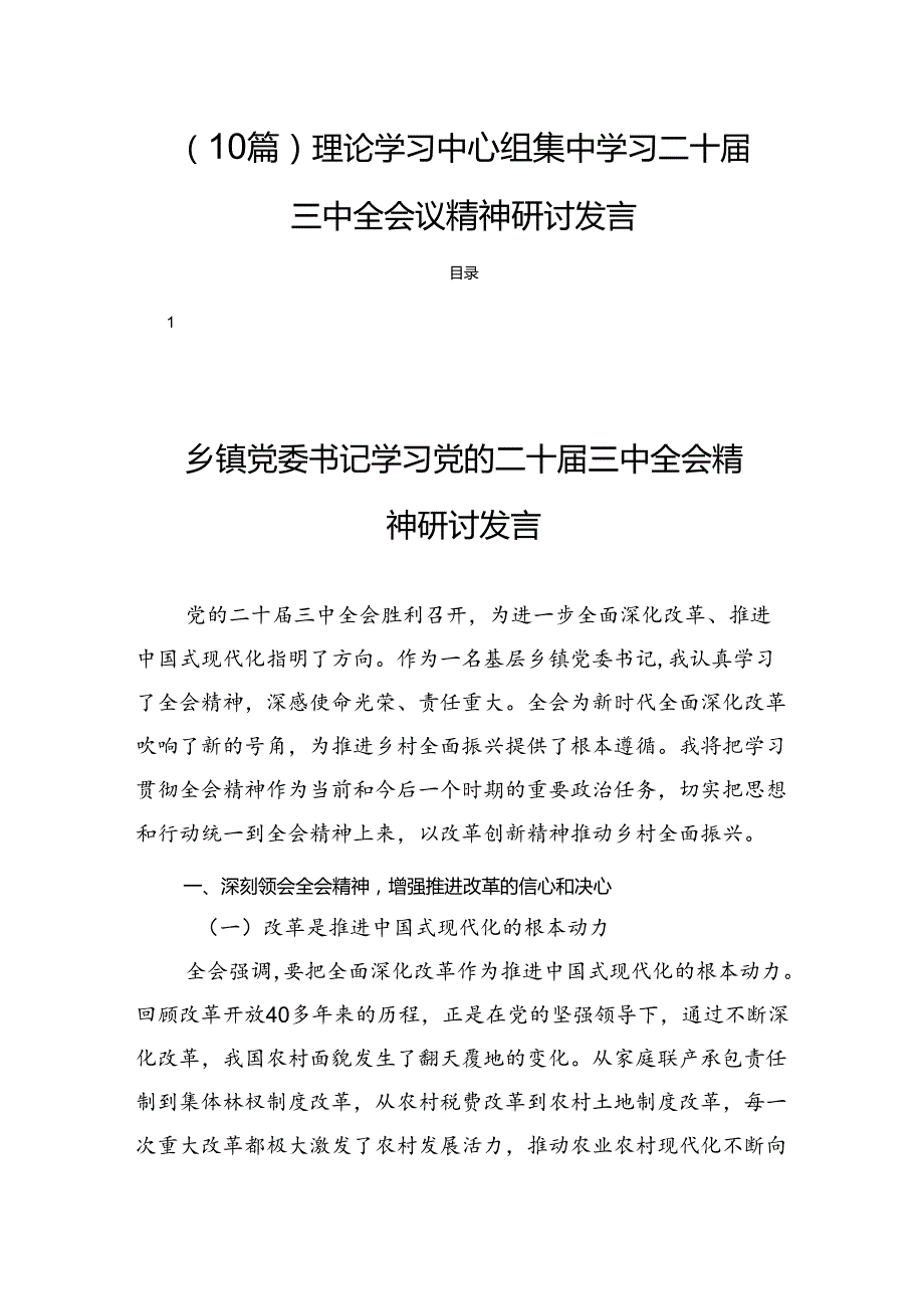 （10篇）理论学习中心组集中学习二十三中全会议精神研讨发言.docx_第1页