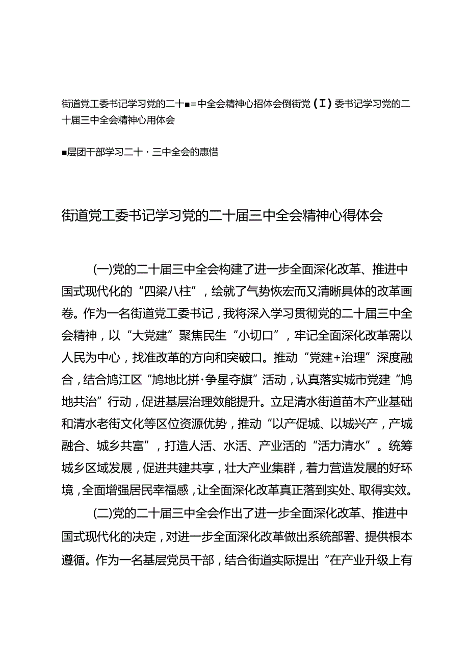 （简短版）街道党工委书记、基层团干部学习党的二十三中全会精神心得体会.docx_第1页