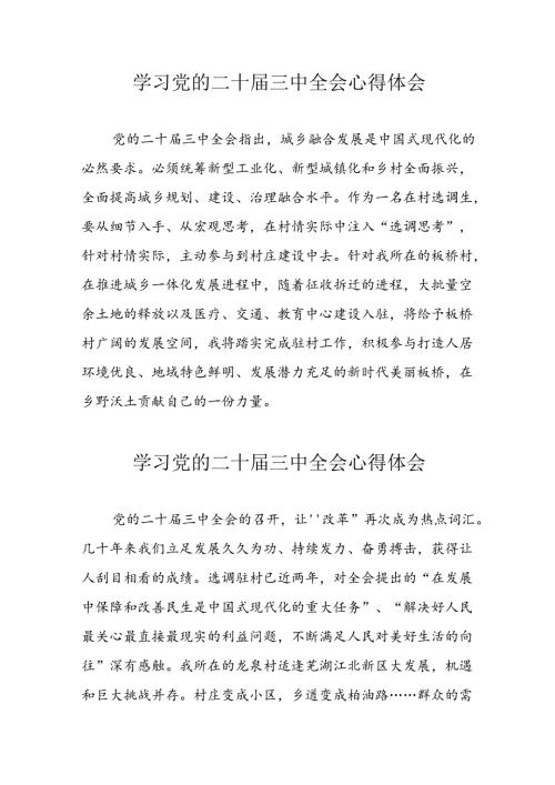学习2024年党的二十三中全会心得体会 （11份）56.docx