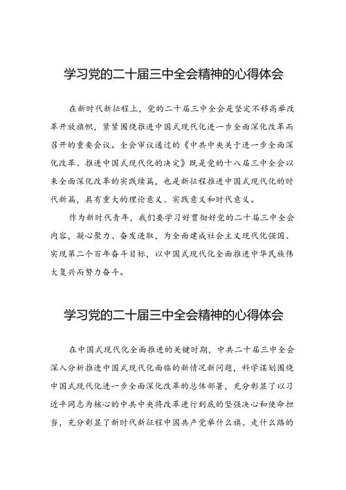 2024年二十三中全会精神学习体会感悟三十篇.docx