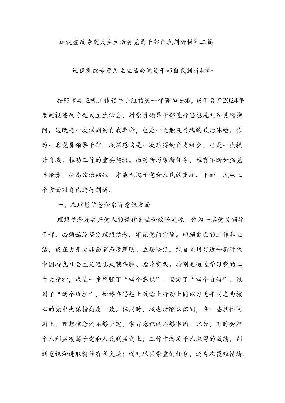 巡视整改专题民主生活会党员干部自我剖析材料二篇.docx_第1页