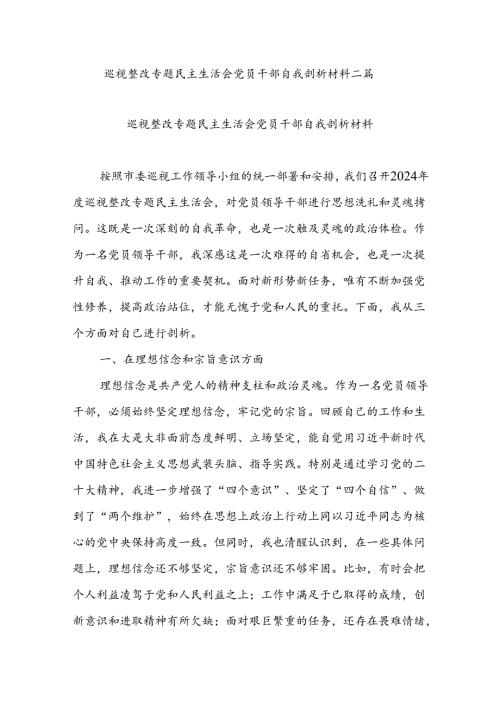 巡视整改专题民主生活会党员干部自我剖析材料二篇.docx