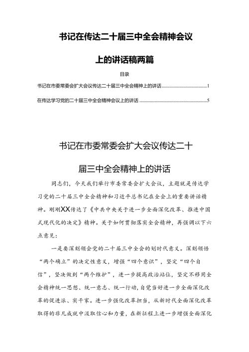 书记在传达二十三中全会精神会议上的讲话稿两篇.docx