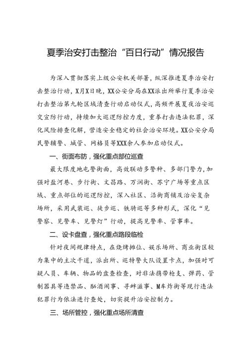 公安2024年夏季治安打击整治情况报告6篇.docx