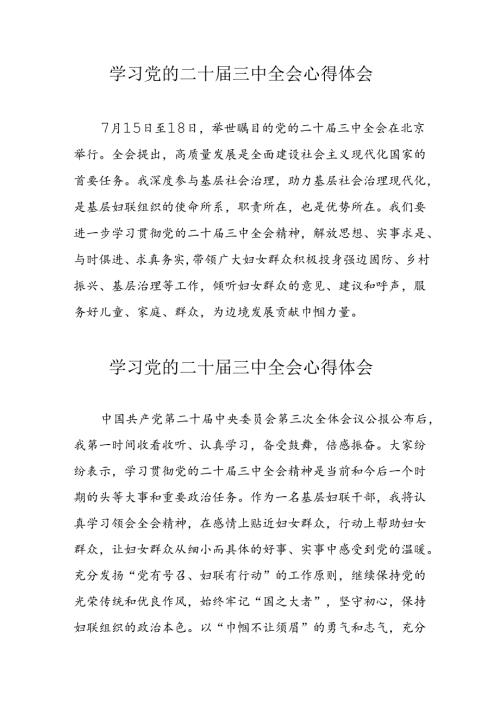 学习2024年党的二十三中全会个人心得体会 （汇编16份）.docx