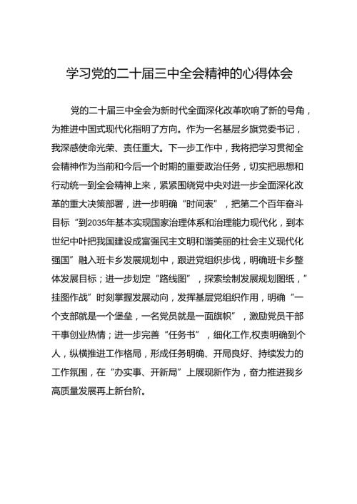 2024年学习二十三中全会的心得体会发言材料39篇.docx