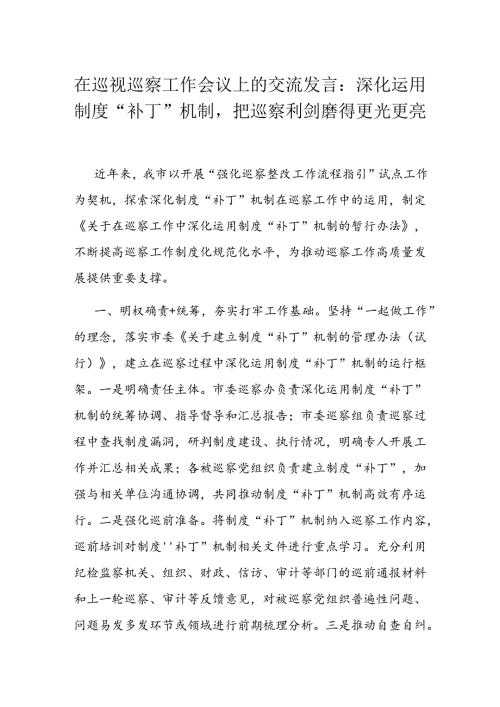 在巡视巡察工作会议上的交流发言.docx
