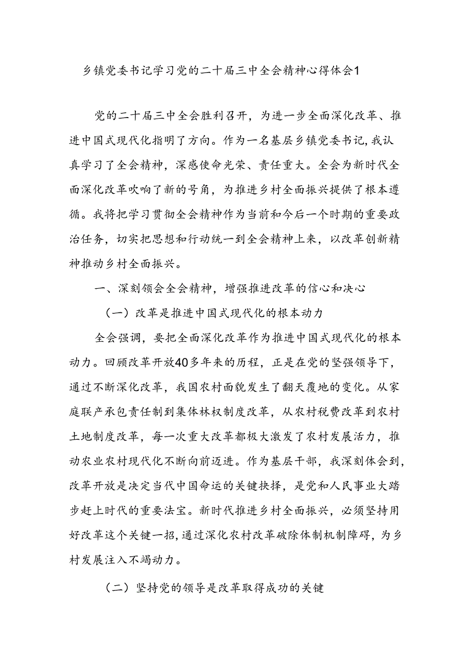 乡镇党委书记领导干部学习党的二十三中全会公报精神心得体会研讨发言2篇.docx_第2页