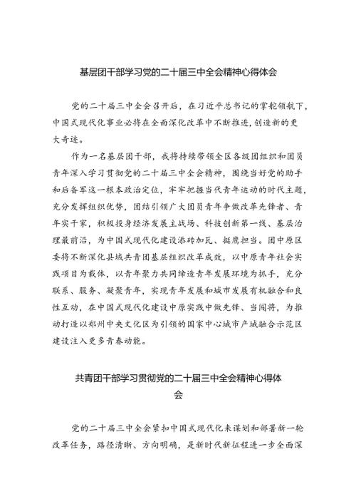 基层团干部学习党的二十三中全会精神心得体会（共8篇）.docx
