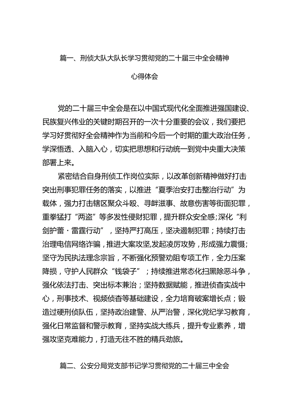 刑侦大队大队长学习贯彻党的二十三中全会精神心得体会10篇（详细版）.docx_第2页