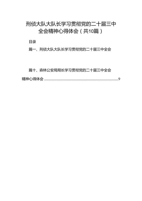 刑侦大队大队长学习贯彻党的二十三中全会精神心得体会10篇（详细版）.docx