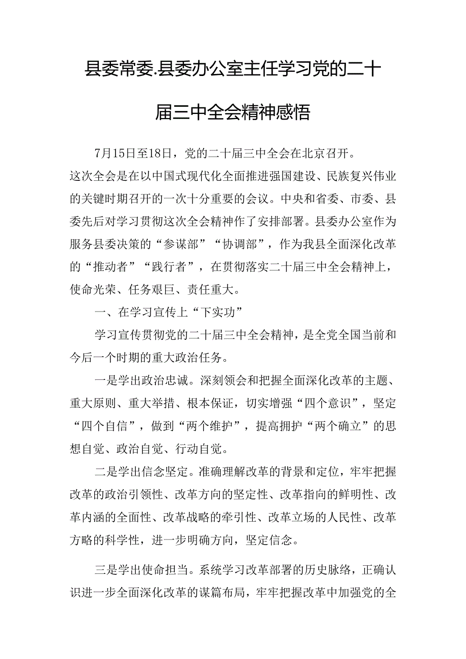 2024二十三中全会安排部署会讲话材料.docx_第2页