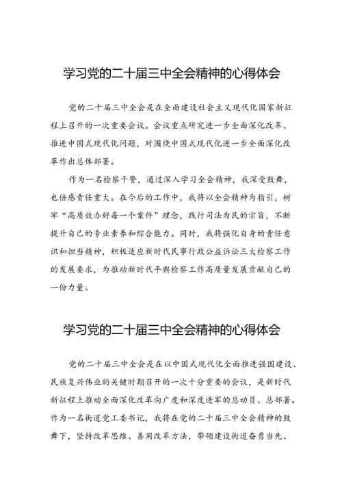 2024年党的二十三中全会精神学习体会交流发言稿样本三十篇.docx