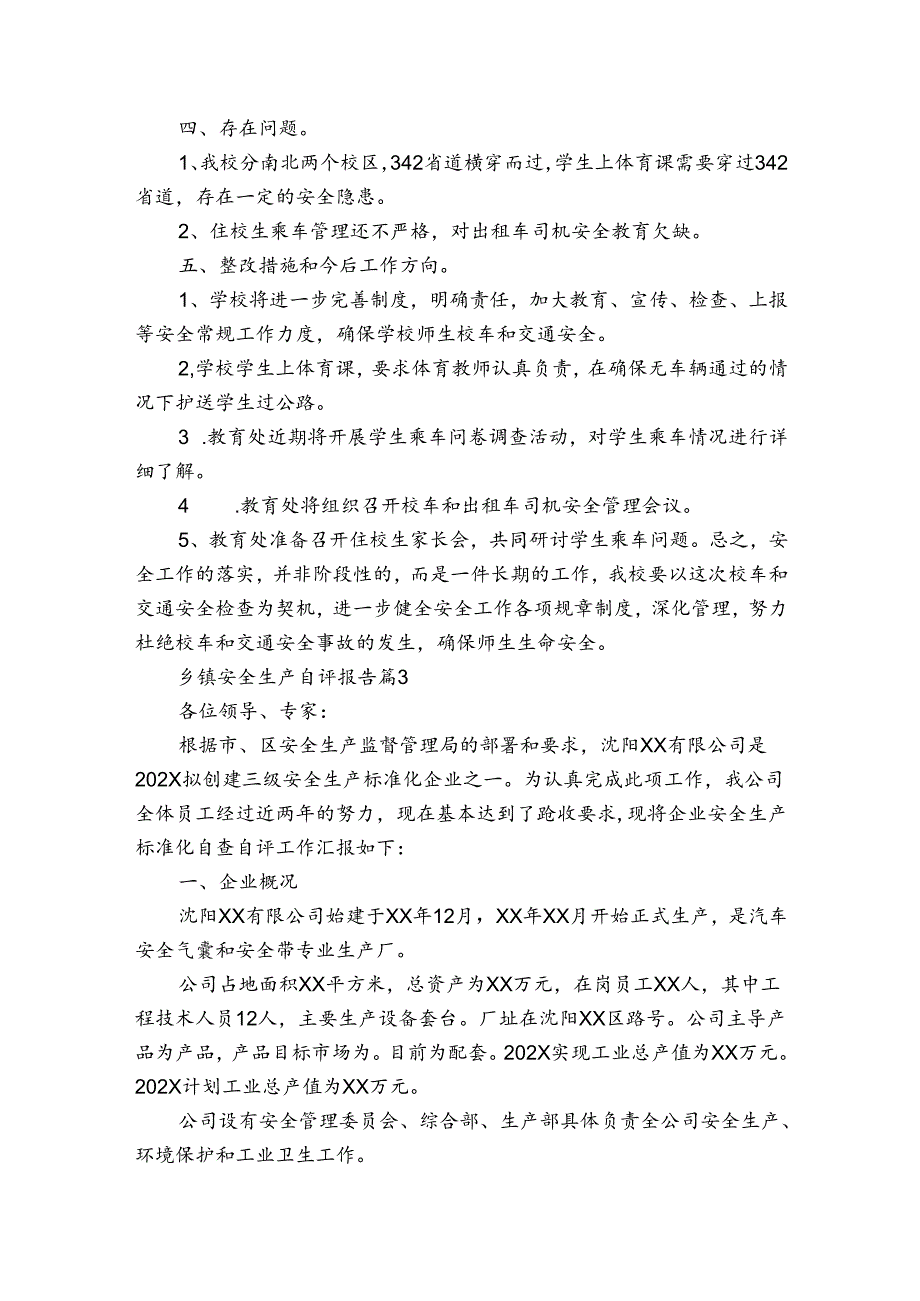 乡镇安全生产自评报告（3篇）1.docx_第2页