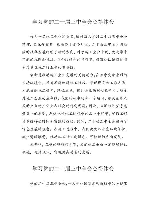 学习2024年学习党的二十三中全会个人心得体会 （9份）.docx