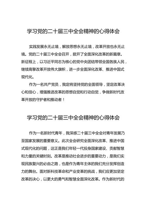 2024年二十三中全会精神学习体会样本三十篇.docx
