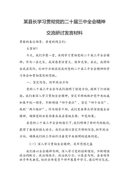 某县长学习贯彻党的二十三中全会精神交流研讨发言材料.docx