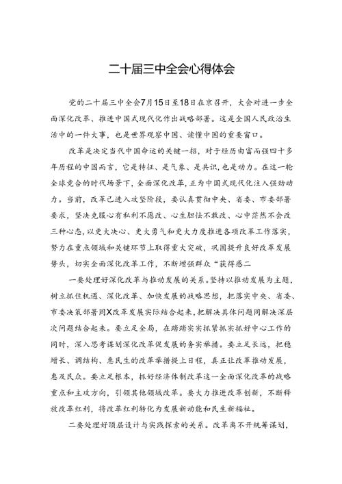 二十三中全会心得体会 (3篇).docx